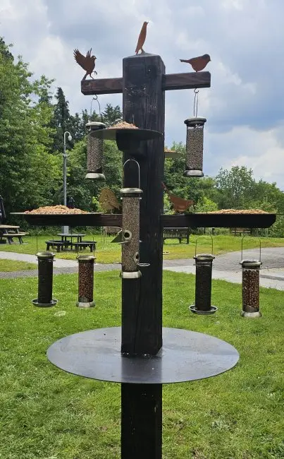 Bird Feeding Station